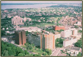 Albert Einstein College